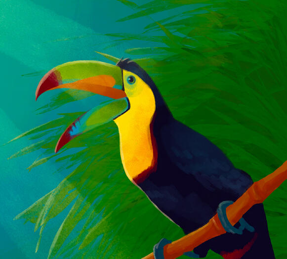 This illustration was created for a personal project showcasing wildlife - Made in Procreate - 2.5 hrs