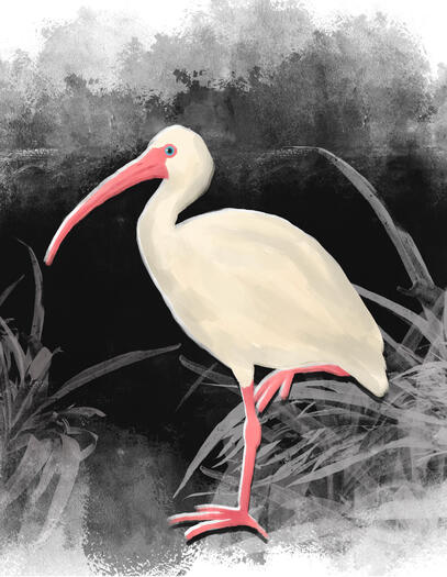 This piece was created as a commission for a client - Made in Procreate - 1.5 hrs