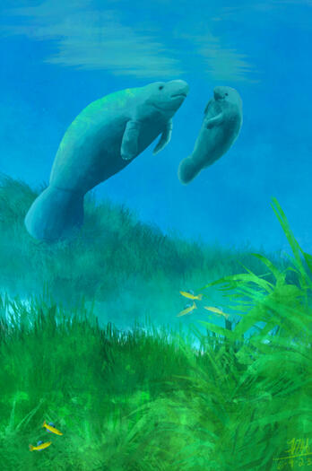 This illustration was created for a personal project showcasing wildlife - Made in Procreate - 2.5 hrs